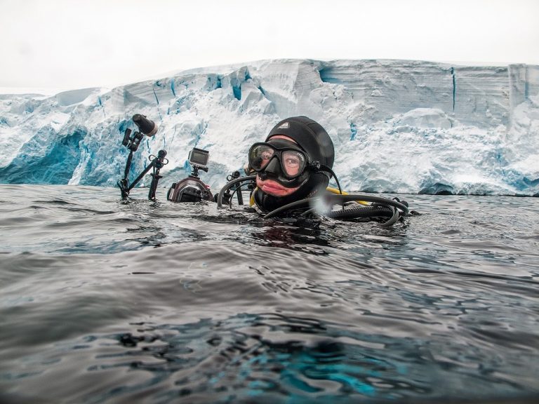 En mayo a conectarse con la “Antártica bajo cero”, el ciclo de charlas virtuales sobre ciencia polar