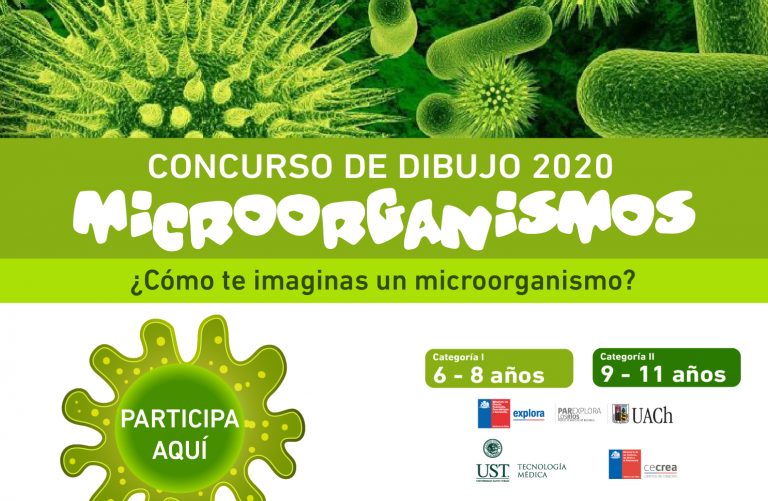 2do Concurso de Dibujo Microorganismos ¡para todo Chile!