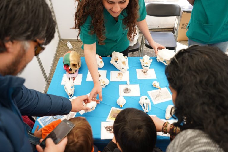 Festival de la Ciencia: Invitan a participar de variada parrilla de talleres para toda la familia
