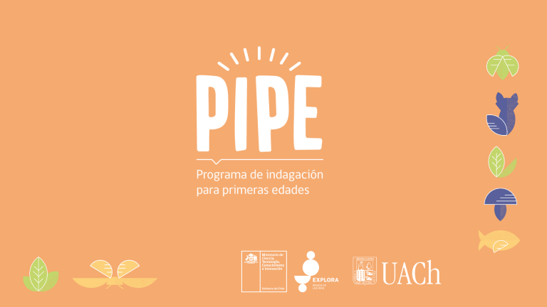 Banner PIPE
