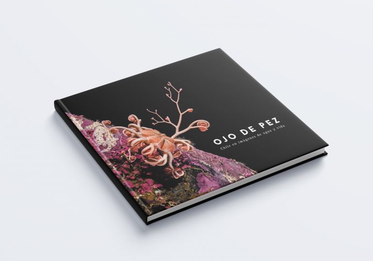 Se presentará libro de fotografías de ecosistemas acuáticos  de Chile: “Ojo de Pez, Chile en imágenes de agua y vida”
