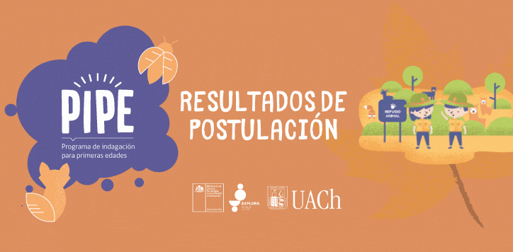 PIPE presenta a las profesionales que serán parte del programa en 2021