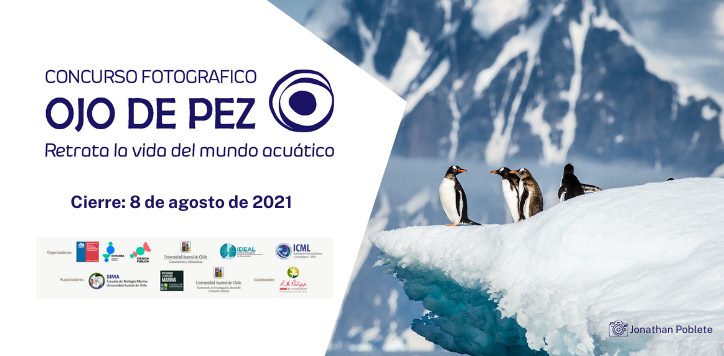 Banner Ojo de Pez 2021