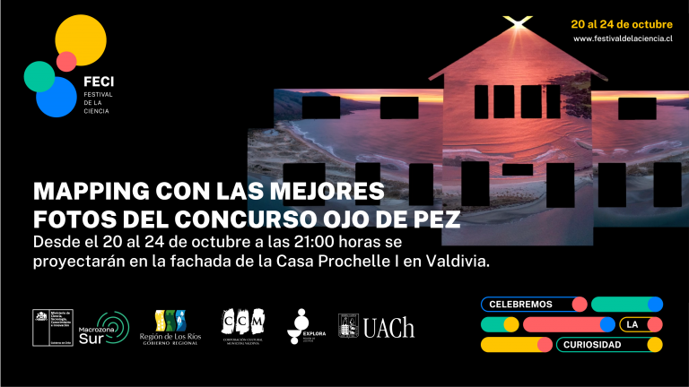 En el Festival de la Ciencia proyectan fotografías de naturaleza sobre fachada de edificio patrimonial de Valdivia