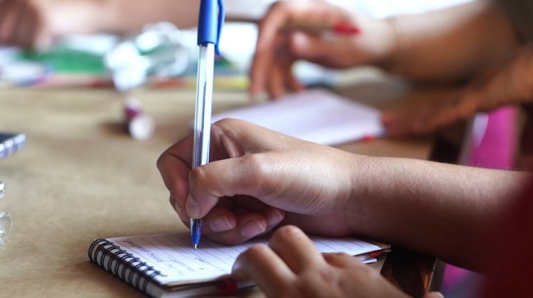 Campamento virtual de profesores invita a redescubrir la ciencia y el conocimiento en Los Ríos