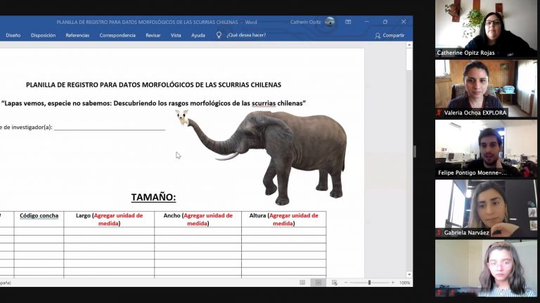Escolares investigan y hacen ciencia en sus aulas virtuales