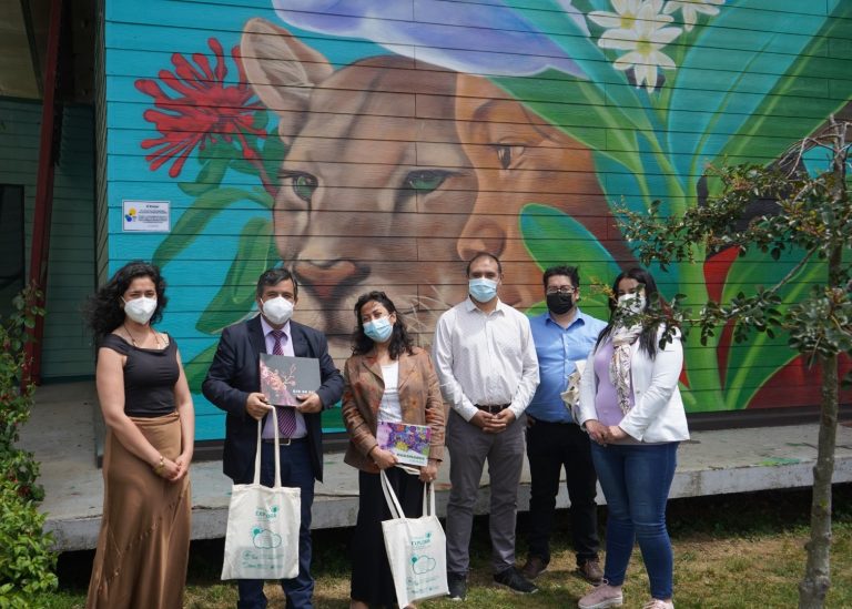 Directora del Proyecto Explora Los Ríos se reunió con el alcalde de Lanco para entregar mural del Festival de la Ciencia