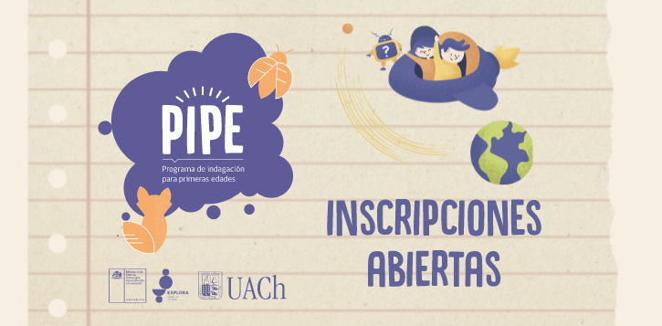 Postula a PIPE 2022