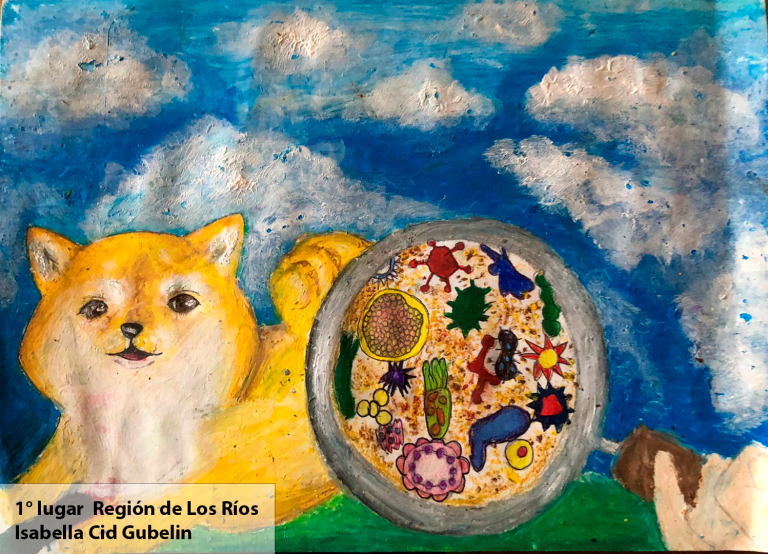 La cuarta versión del concurso de dibujo microorganismos anuncia ganadores