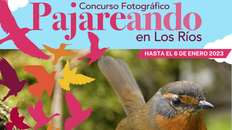 Concurso “Pajareando en Los Rios”