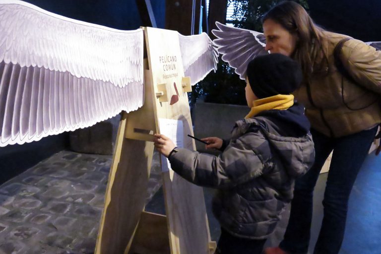 Feria de aves “Pajareando en Verano 2023”: nuevo panorama Valdiviano