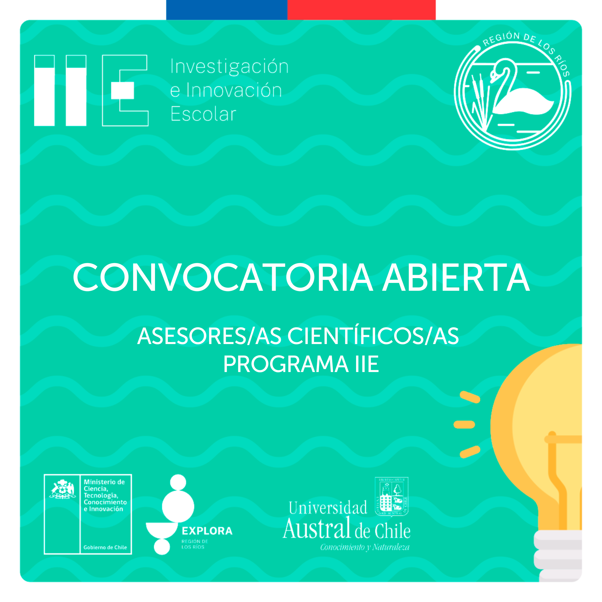 Participa de la convocatoria para Asesores Científicos 2023 de Explora Los Ríos 🔬