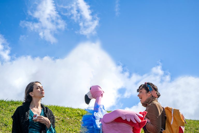 En Valdivia se lanzó serie audiovisual infantil sobre ciencia: “Maqui y Flami la curiosa, un viaje a través de la luz y el color”