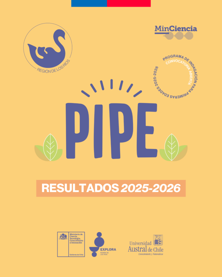 Conoce los resultados de la postulación al Programa de Indagación para Primeras Edades convocatoria 2025 – 2026