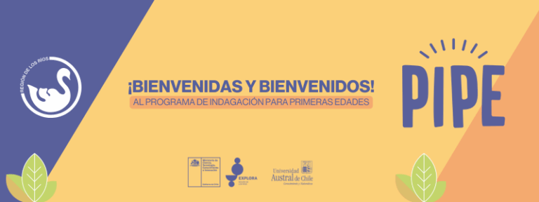 Programa de Indagación para Primeras Edades 2025