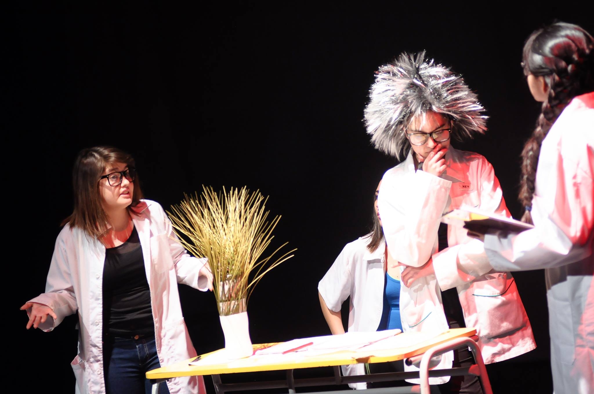 Los seis montajes que participarán en el II Festival Escolar de Teatro y Ciencia