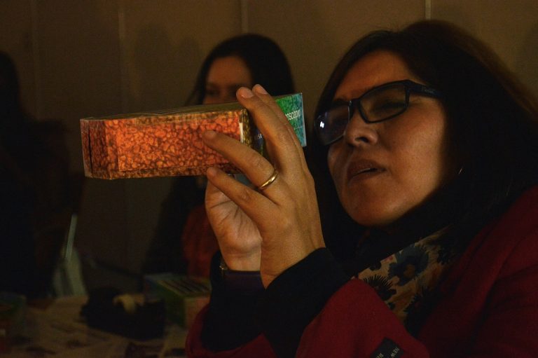 Especialista del Observatorio Cerro Tololo realizó taller para docentes