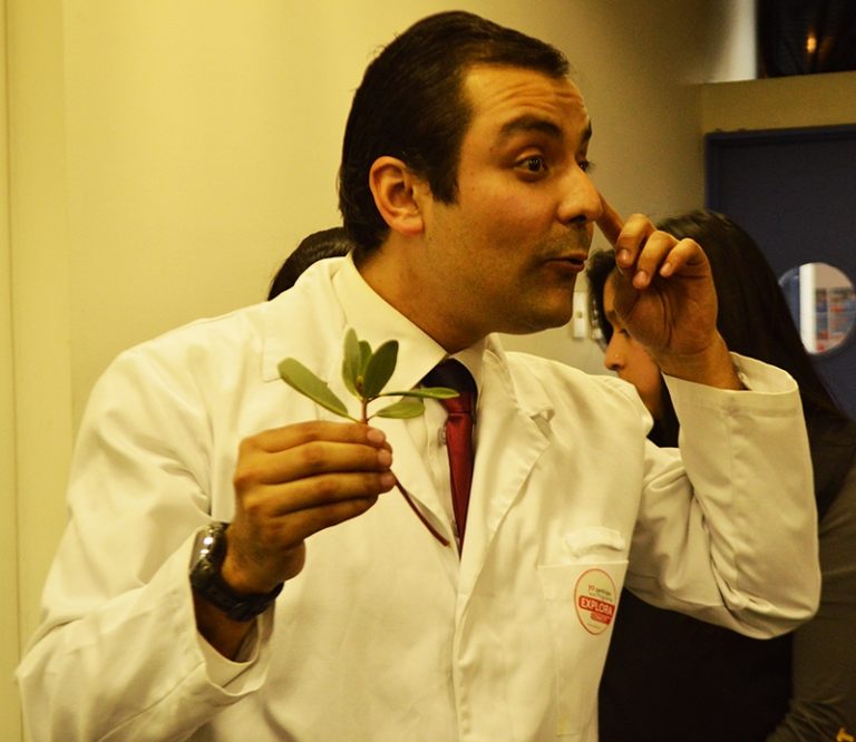 Infusiones, pomadas y otras yerbas