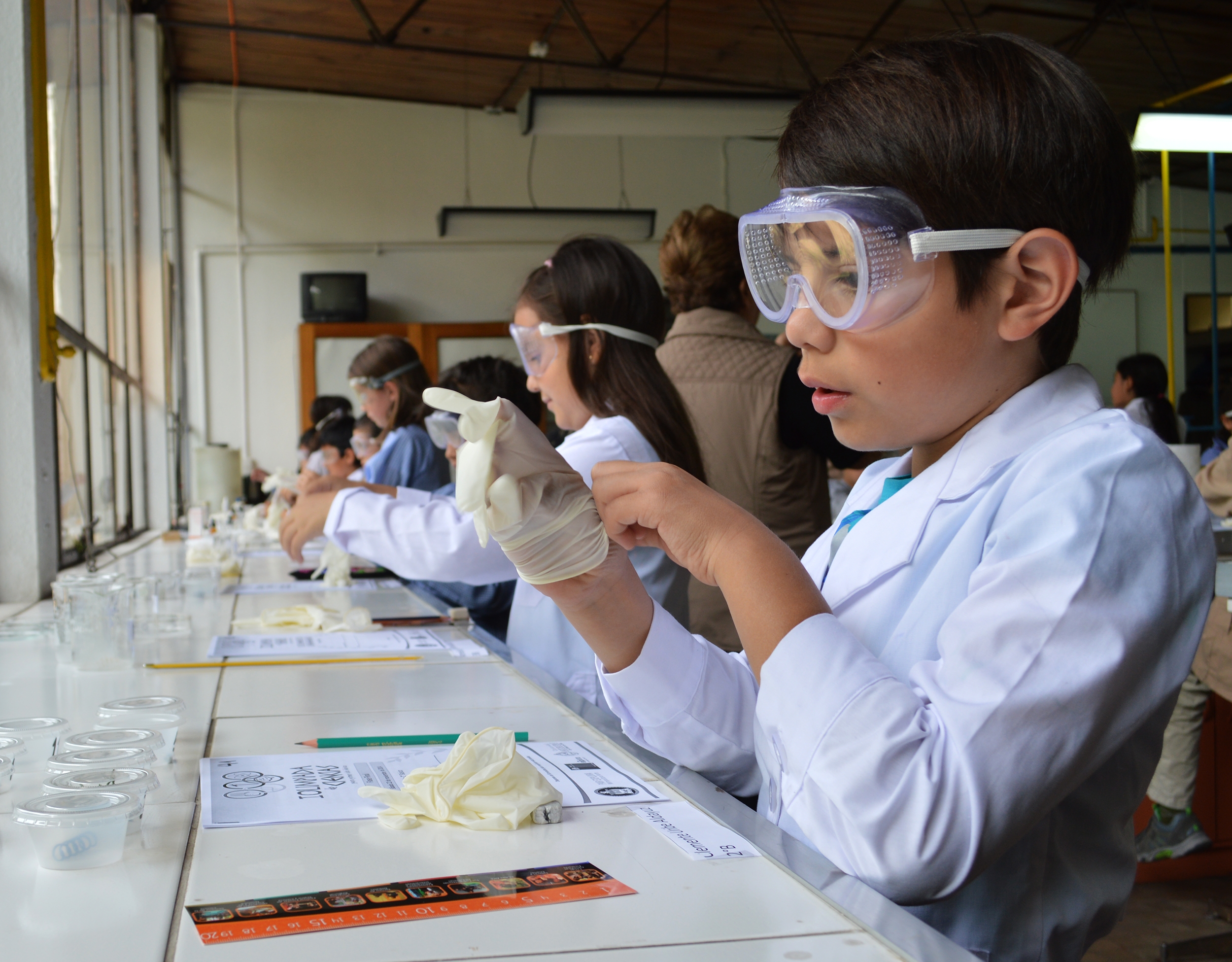 ¡Ya están los ganadores de la I Olimpiada de Ciencias!