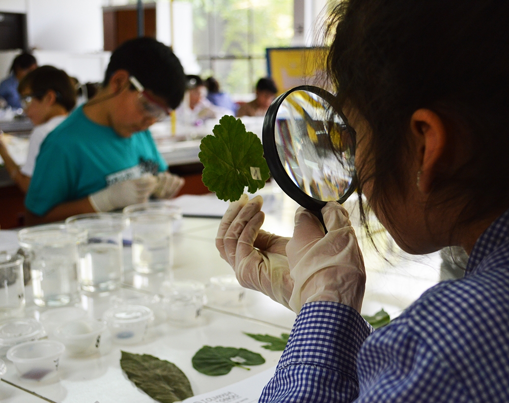 Final de la Olimpiada de Ciencias tuvo a laboratorio de la UMCE como escenario