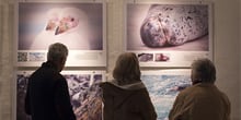Muestra fotográfica invita a recorrer la Antártica