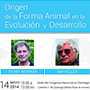 Origen de la forma animal en la evolución y desarrollo
