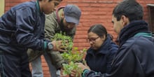 Talleres de “Hecho en Concreto” sembraron la semilla de la autosuficiencia alimentaria