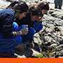 “Manos Verdes” lleva a estudiantes del Colegio Manquecura a Caleta Quintay