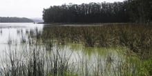 Testigos del pasado: el caso de la Laguna Matanzas