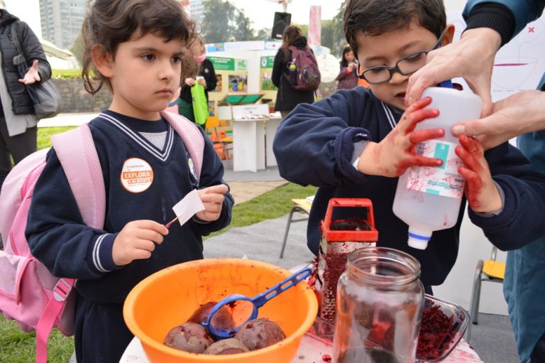Establecimientos Municipalizados de Providencia protagonizaron Primera Feria Científica comunal