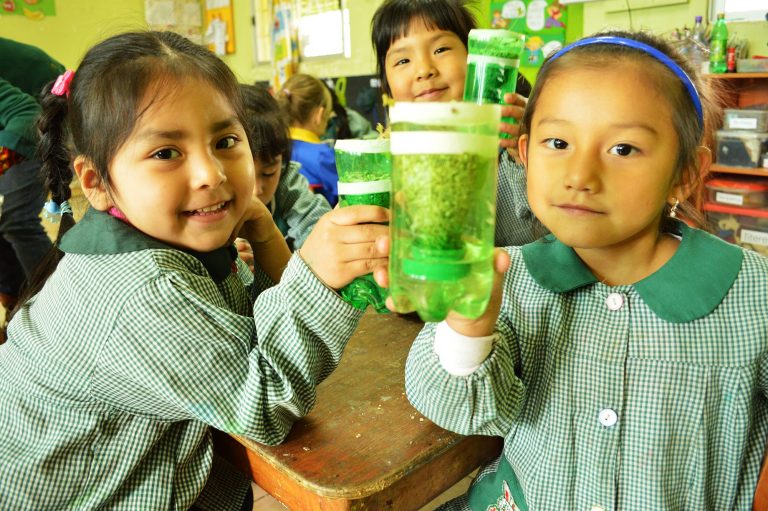Establecimientos educacionales celebran el Día de la Ciencia en Mi Colegio