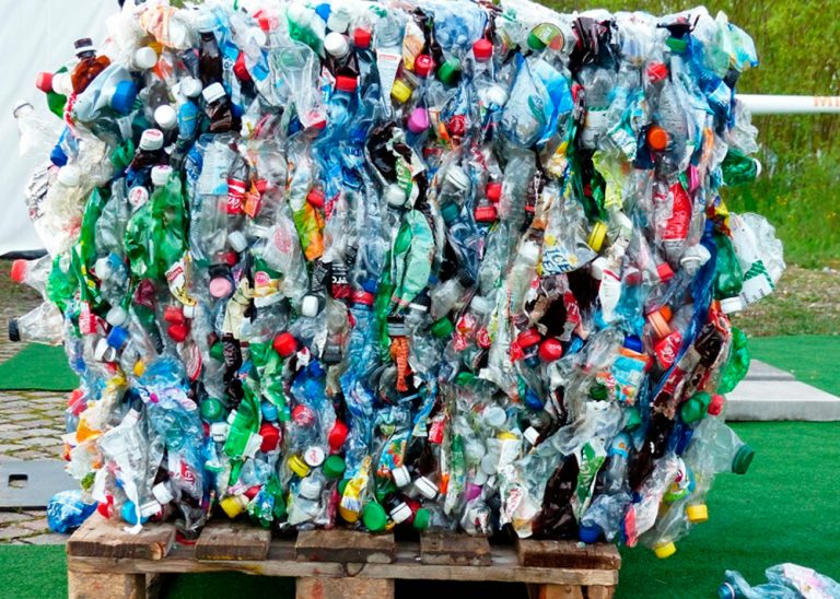 Reciclaje, una solución al problema de la basura