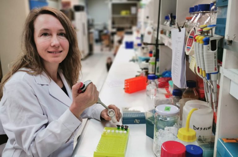 La biotecnología puede ser parte de la solución a la crisis alimentaria