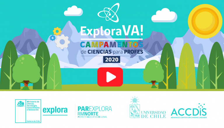 ¡Una experiencia inolvidable!