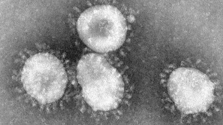 Buscadoras de virus: científicas que han dejado huella