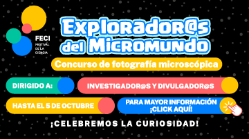 Revisa las fotografías que formarán parte de la exposición “Explorador@s del Micromundo”
