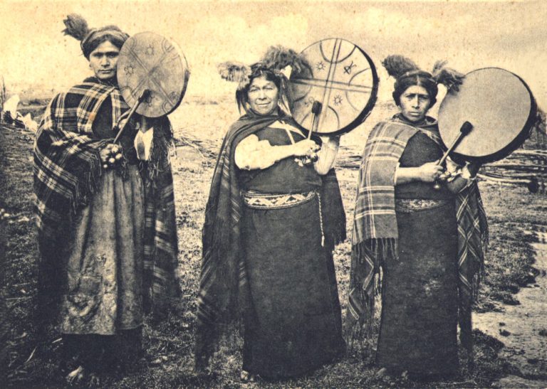 Hierbas medicinales en la cultura mapuche, el puente de integración de sus conocimientos a la cultura occidental