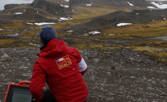 La vida microscópica de la Antártica