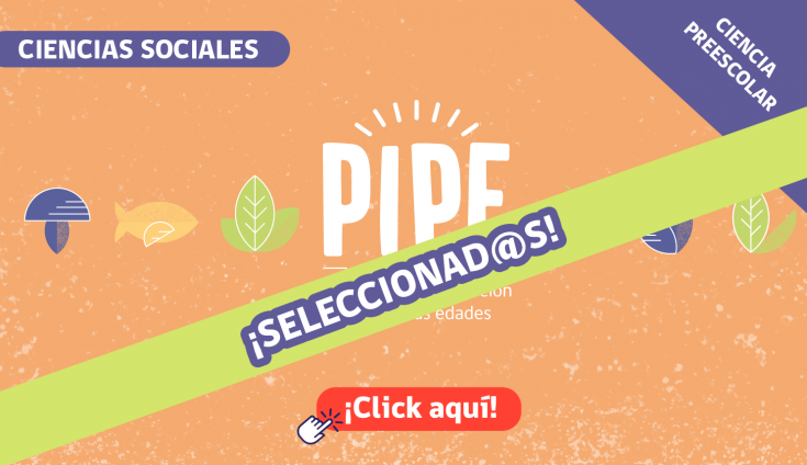 Banner_Pequeño_PIPE_SELECCIONADOS