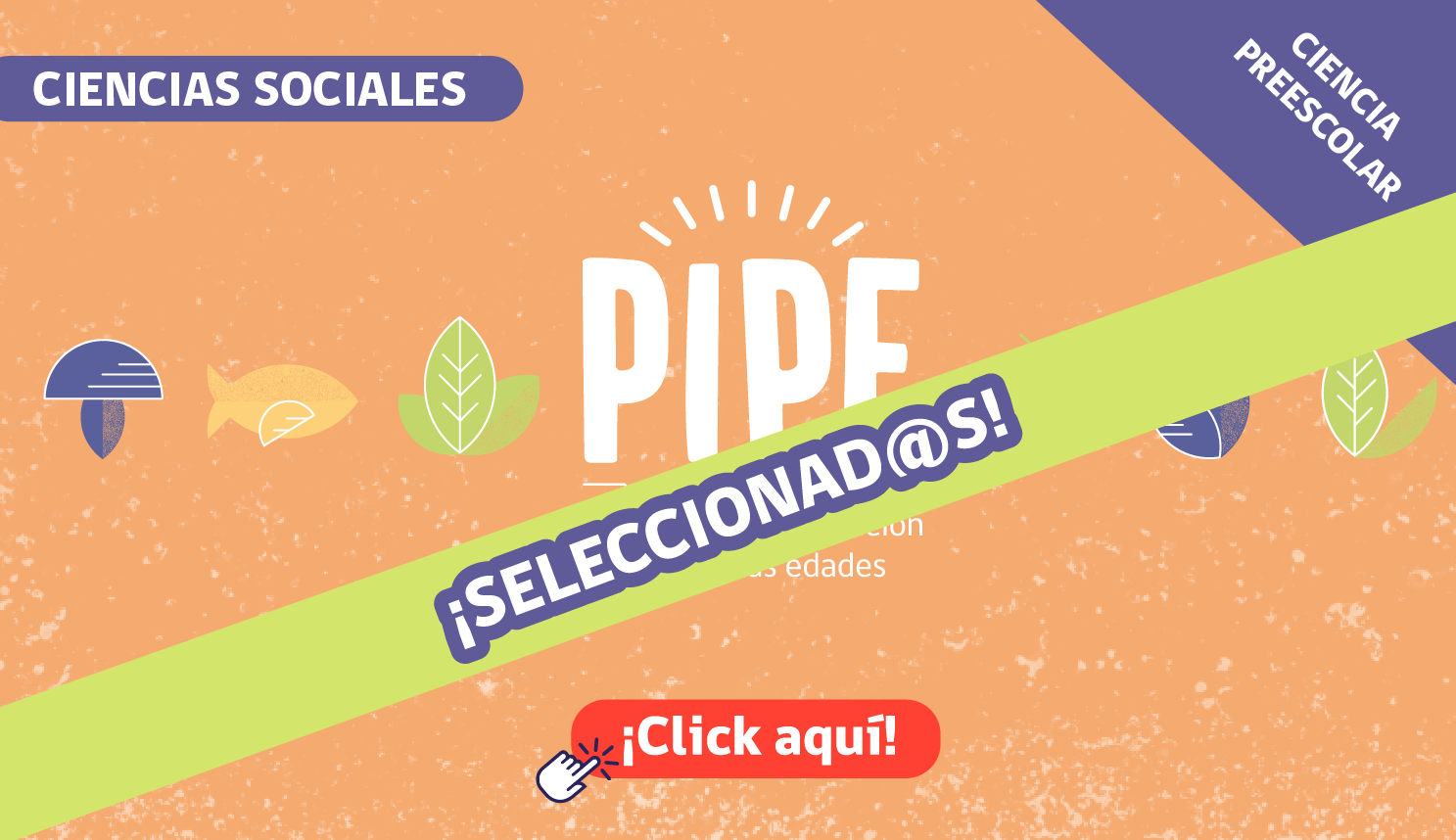 PIPE: ¡Disponibles los resultados de l@s seleccionad@s!