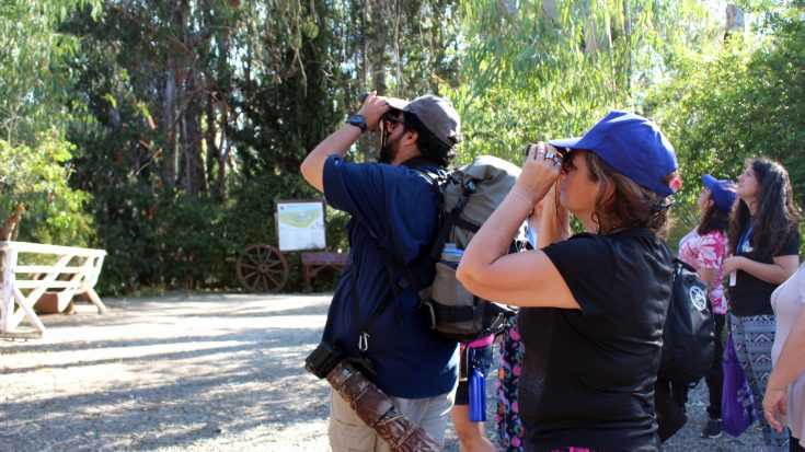 Campamento-Explora-Va!-Rmnorte-Avistamiento-de-aves