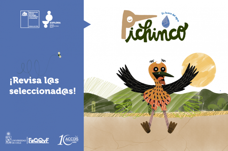 PichinCO-seleccionados-banner