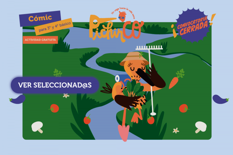 ¡Felicitaciones a los seleccionados para PichinCO: Un viaje hacia la vida sana!