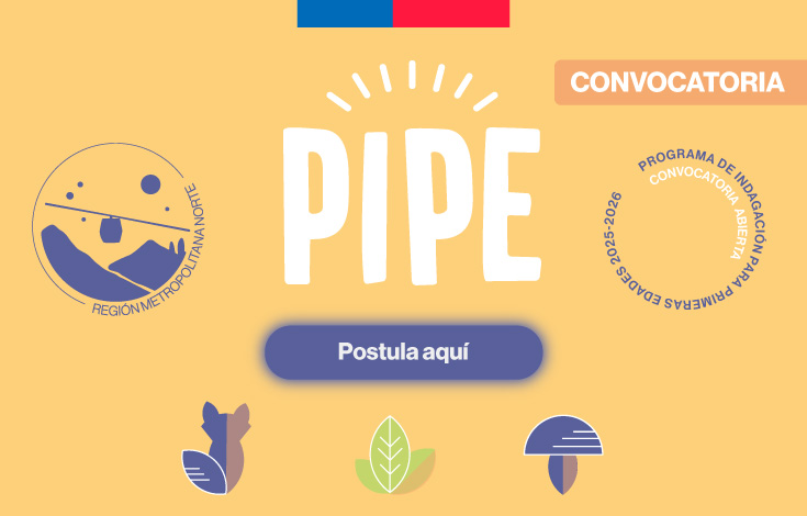 ¡Ya puedes postular al Programa de Indagación para Primeras Edades “PIPE” 2025 – 2026!