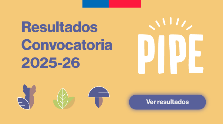 Ya están disponibles los resultados de l@s seleccionad@s para participar del Programa de Indagación para Primeras Edades 2025 – 2026