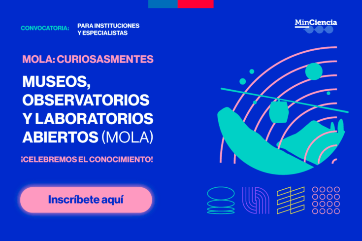 mola-web