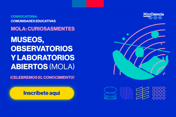 MOLA-2025-Banner-WEB