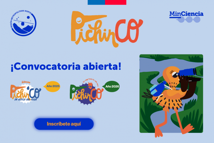 Pichinco-convocatoria-2025-banner