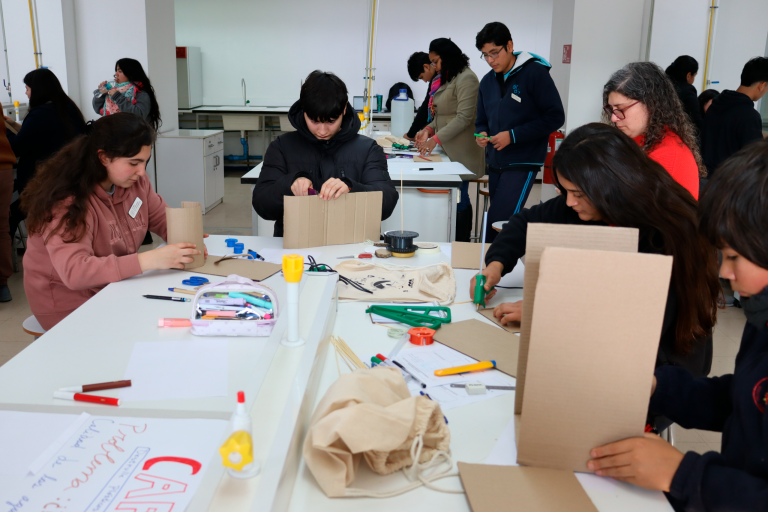 Investigación e Innovación Escolar: Ciencia escolar que se vive y se construye