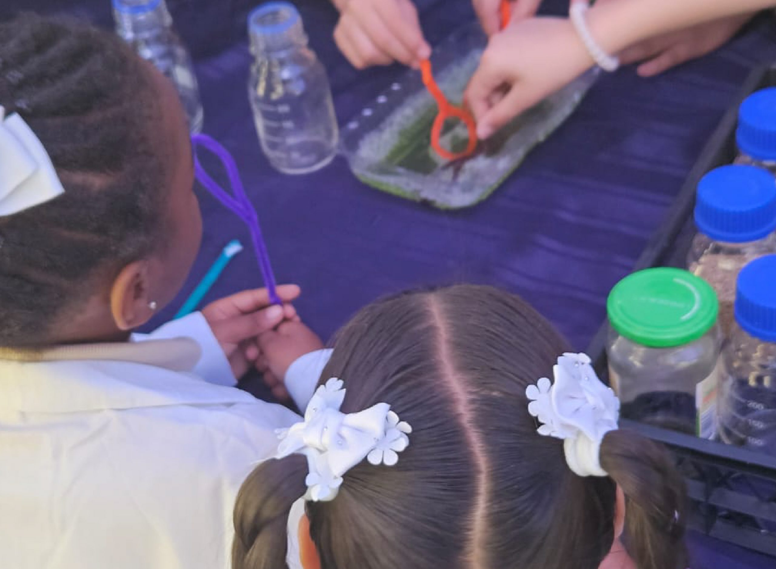 Arte y ciencia: la nueva experiencia formativa que llegó al Proyecto Explora para las primeras infancias